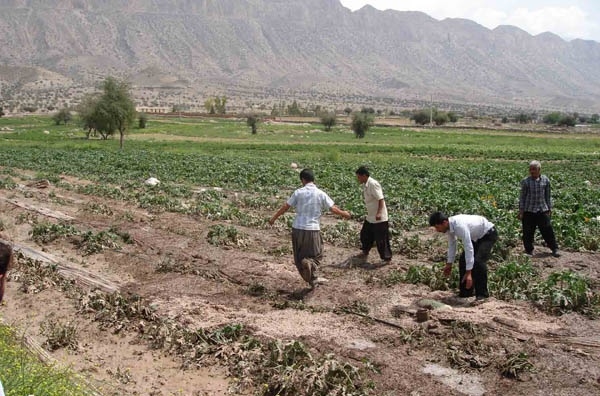 شوری-خاک-استان-زنجان-نمود-کمتری-نسبت-به-سایر-استانها-دارد-میزان-بارشها-و-ذخایر-آبی-در-ایران-کاهش-یافته-است