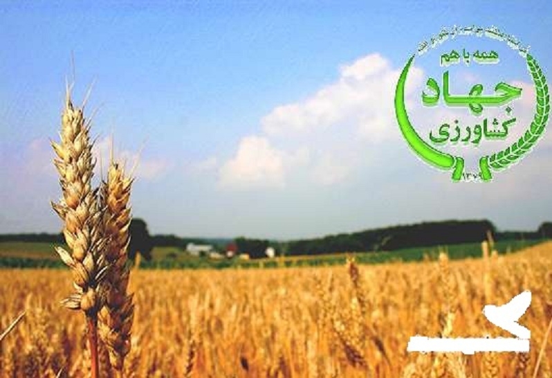 اعطای-بیش-از-70-میلیارد-تومان-تسهیلات-به-واحدهای-تولیدی-در-زنجان-استان-زنجان-در-اجرای-آبیاریهای-نوین-جزو-هشت-استان-برتر-کشور-است