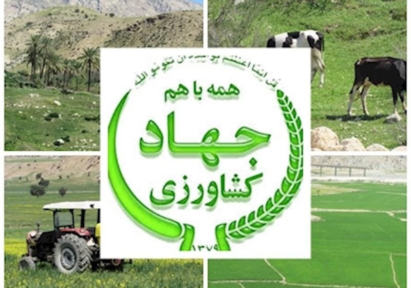 هلدینگ-کشاورزی-استان-زنجان-تاسیس-و-راه-اندازی-می‌شود