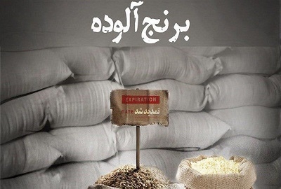 -واردات-33-هزار-تن-برنج-آلوده-اروگوئهای-به-کشور-سرنوشت-سوغات-آمریکای-جنوبی-چه-میشود؟