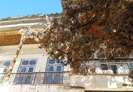 وقتی-سنت-های-هنری-و-تزئینی-زنجانی-گردهم-می-آیند-بنای-خدیوی-زنجان-شناسنامه-معماري-منطقه-