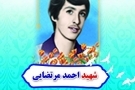 تقدیم-29-شهید-زنجانی-در-دوران-انقلاب-اسلامی+تصاویر-مردم-هیچگاه-شهدا-را-فراموش-نخواهند-کرد