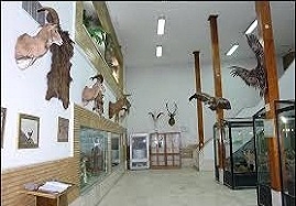 بازدید-از-موزه-تاریخی-طبیعی-زنجان-رایگان-شد-تاریخ-طبیعی-زنجان-یادگاری-ارزشمند