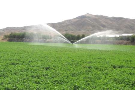 تجهیز-بیش-از-14-هزار-هکتار-از-اراضی-استان-به-آبیاریهای-نوین-حدود-50-درصد-چاههای-استان-زنجان-غیر-مجاز-است