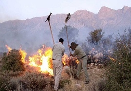 206-هکتار-از-مناطق-شکار-ممنوع-استان-زنجان-طعمه-حریق-شد