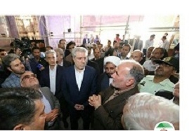 معاون-رئيس-جمهور-از-گنبد-سلطانیه-بازدید-کرد-بنای-تاریخی-گنبد-سلطانیه-نباید-به-حال-خود-رها-شود