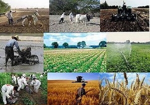 تسهیلات-حمایتی-برای-توسعه-صادرات-انواع-محصولات-کشاورزی-در-زنجان-ارائه-می‌شود