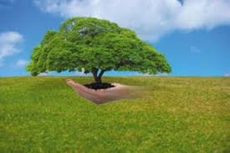 برخورد-با-متصرفان-اراضی-ملی-در-استان-زنجان-تشدید-مییابد-۱۱-اکیپ-نیروهای-گشت-زنی-منابع-طبیعی-در-استان-زنجان-فعال-هستند-