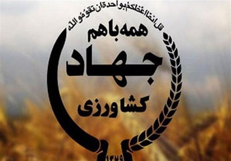 افزایش-تولید-و-کاهش-هزینهها-با-مدیریت-مزارع-و-باغات-در-فصل-زمستان