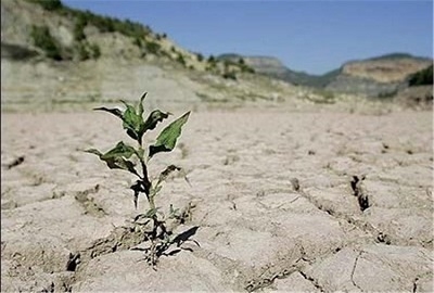افزایش-بیش-از-150-درصد-بارندگیها-در-استان-زنجان-کمبود-آب-دشتهای-استان-زنجان-هنوز-جبران-نشده-است