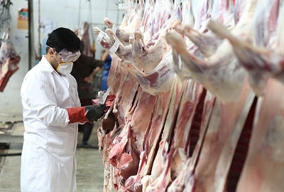 نظارت-دقیقی-بر-گوشتهای-وارداتی-به-کشور-داریم-اعزام-ناظران-دامپزشکی-به-کشورهای-مبدا-صادر-کننده-گوشت-قرمز