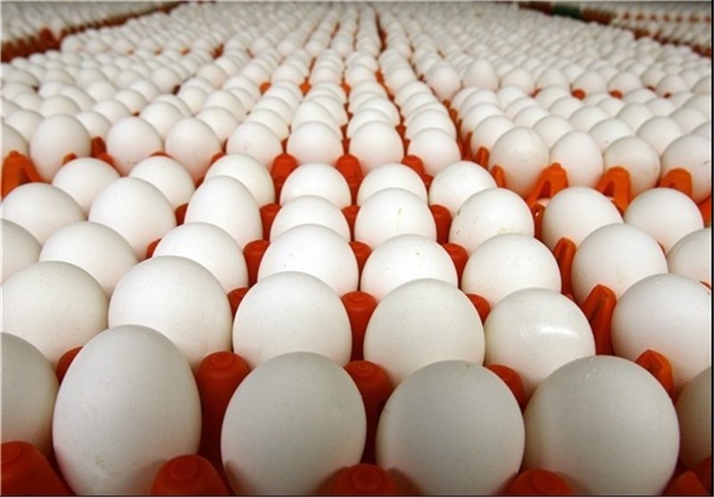 توزیع-تخم-مرغ-12-هزار-و-600-تومانی-در-استان-زنجان-هیچ-نگرانی-در-خصوص-کمبود-اقلام-پرمصرف-مردم-وجود-ندارد