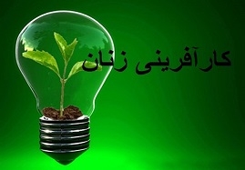 توجه-به-زنان-یکی-از-مهمترین-معیارهای-توسعه-یافتگی-است-نرخ-16-درصدی-مشارکت-اقتصادی-بانوان-زنجانی