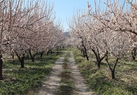 ماسوله-گردی-به-سبک-روستای-قوزلو-نوروز-بهترین-زمان-سفر-به-روستای-پلکانی-قوزلو