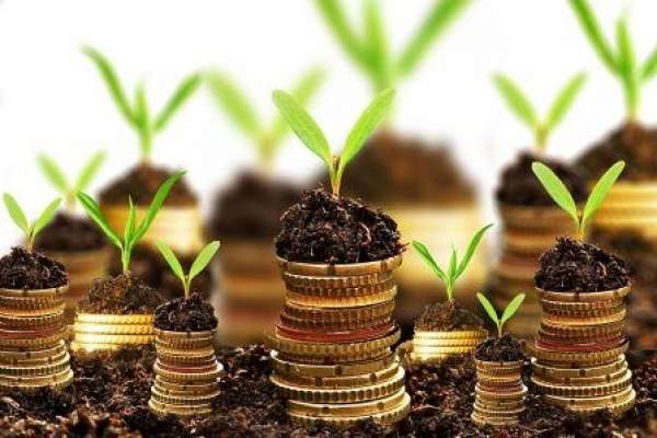 بیرغبتی-سرمایهگذاران-بزرگ-برای-سرمایهگذاری-در-ماهنشان