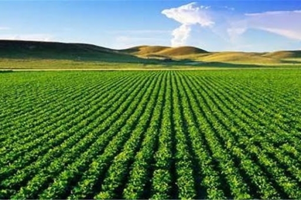 خریدهای-حمایتی-موجب-استمرار-و-توسعه-اشتغال-میشود