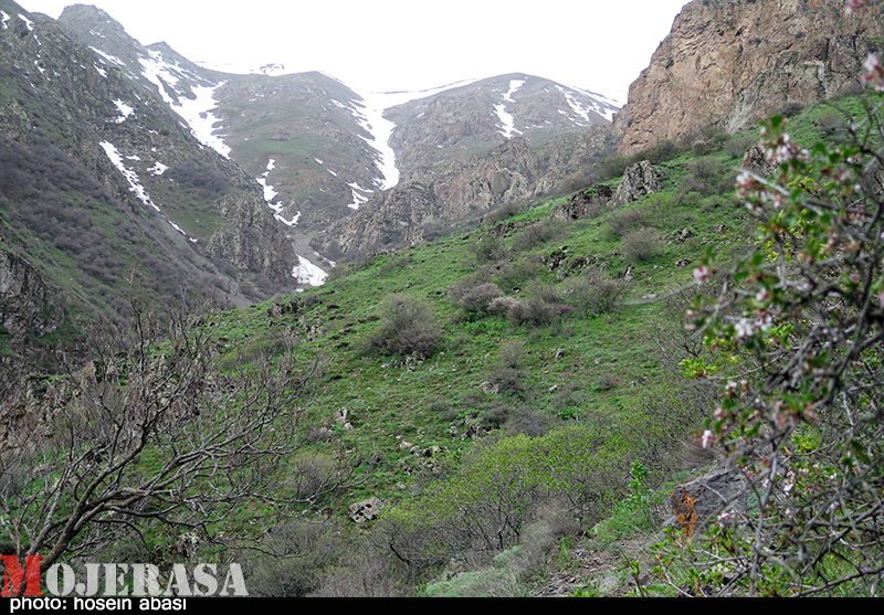 بهار در مناطق کوهستانی زنجان