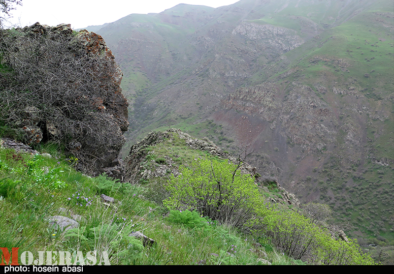 بهار در مناطق کوهستانی زنجان
