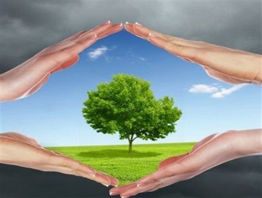 اجرای-پروژههای-صندوق-توسعه-ملی-در-استان-اولویت-اصلی-منابع-طبیعی-است