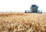 طرح-پلاک‌گذاری-ماشین‌‌آلات-کشاورزی-تا-پایان-تابستان-در-زنجان-به-اتمام-می‌رسد