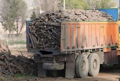 قاچاق-چوب-تهدید-برای-جنگلهای-طارم؛-عاملان-قاچاق-چوب-به-مراجع-قضایی-معرفی-میشوند