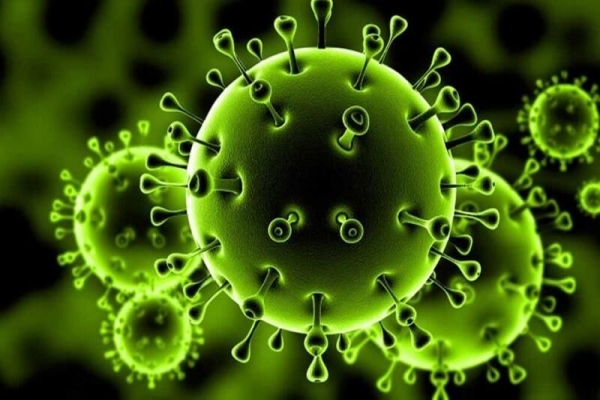 شمار-مبتلایان-به-کرونا-ویروس-به-450-نفر-افزایش-یافت