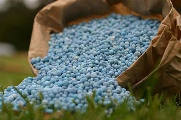 28-هزار-تن-کود-بهاره-در-بین-کشاورزان-زنجانی-توزیع-میشود