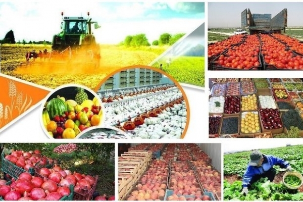 موانع-سرمایهگذاران-جدید-برای-استقرار-در-شهرکهای-صنعتی-استان-زنجان