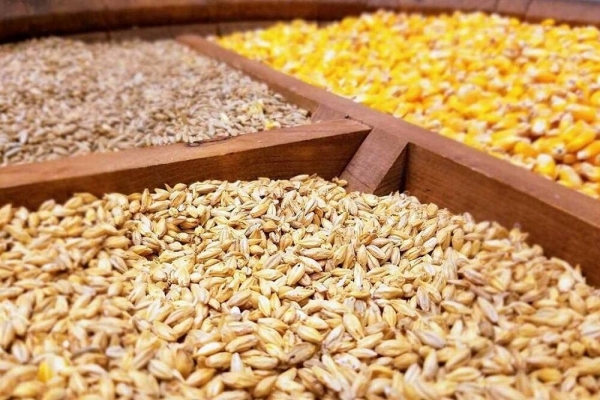 مجمع-نمایندگان-استان-زنجان-مشکل-کمبود-نهادهها-را-پیگیری-کند