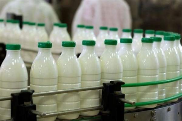 افزایش-قیمت-شیر-در-زنجان-خودسرانه-و-غیرقانونی-است