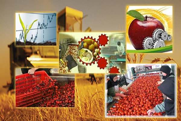 بیتوجهی-به-حل-مشکل-استقرار-صنایع-تبدیلی-در-شهرکهای-صنعتی-خدابنده-و-طارم