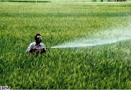 مصرف-بیرویه-کود-و-سموم-موجب-آلودگی-منابع-آبی-استان-زنجان-میشود