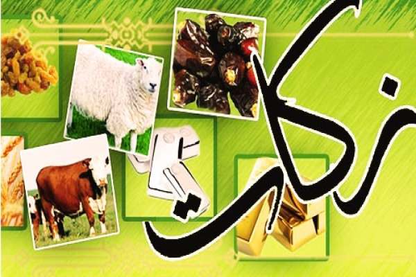 22-میلیارد-تومان-زکات-در-استان-زنجان-جمعآوری-شد