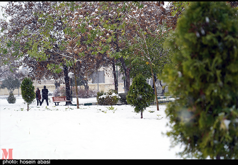 بارش برف زنجان