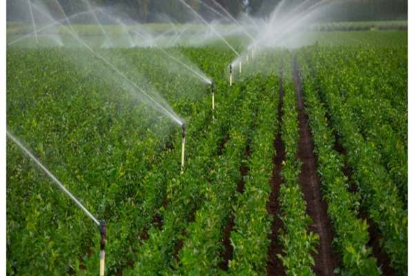 لزوم-استفاده-از-سیستمهای-نوین-آبیاری-در-شرایط-خشکسالی