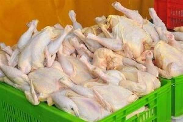 مشکل-نهادهها-و-گرانی-مرغ-ربطی-به-تحریم-ندارد