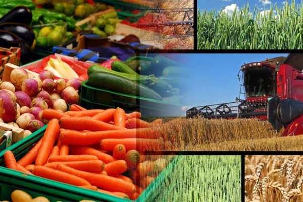 مجلس-برای-تنظیم-بازار-محصولات-کشاورزی-برنامه-دارد