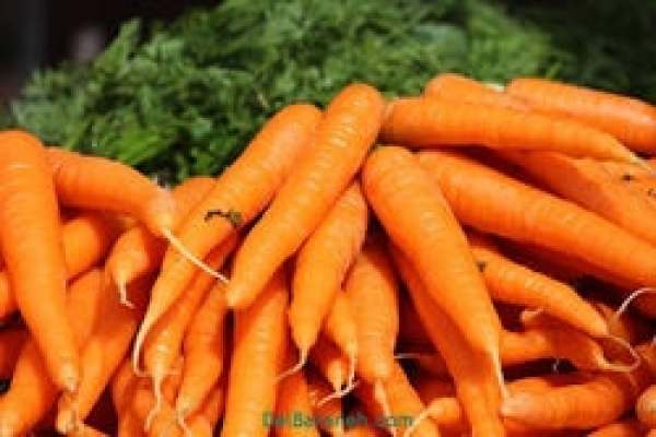 هشدار-درباره-قاچاق-هویج-به-کشورهای-عراق،-ارمنستان-و-پاکستان!