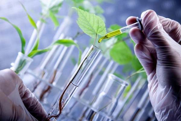 ارائه-آموزشهای-مهارتی-مستمر-برای-بهرهبرداران-کشاورزی-در-زنجان