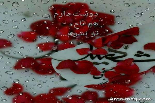 خادمان-شیرخوارگان-حسینی،-پروفایل-خود-را-به-تصاویر-شهدا-مزین-میکنند