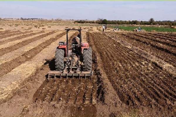 جهش-تولید-در-دیمزارهای-ماهنشان-در-دستور-کار-است-اجرای-طرح-الگوی-کشت-نیاز-به-هم-افزایی-دستگاهها-و-همراهی-مردم-دارد