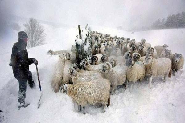 برف-و-یخ‌بندان-در-چندین-استان-کشور