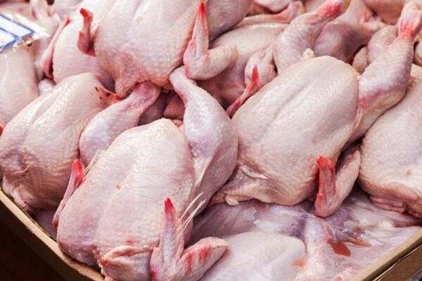 قیمت-مرغ-به-29-هزار-تومان-افزایش-یافت-کمبودی-در-بازار-مرغ-نداریم