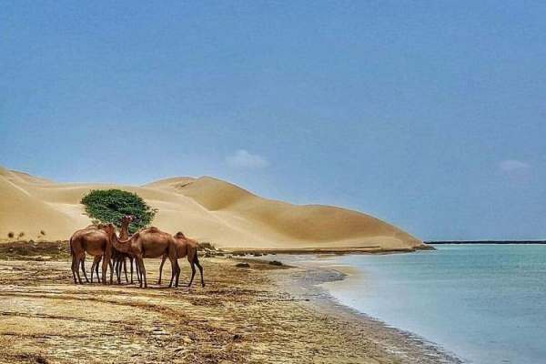 سرزمین-گِل-فشانهای-سیستان-و-بلوچستان-مسافران-نوروزی-را-فرا-میخواند-