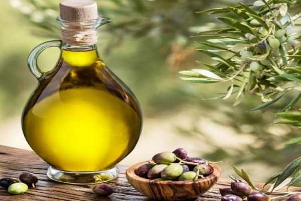پیشبینی-تولید-۱۰-هزار-تن-روغن-زیتون-مازاد-در-کشور-بزرگترین-کمک-دولت-لغو-ممنوعیت-صادرات-روغن-زیتون-است