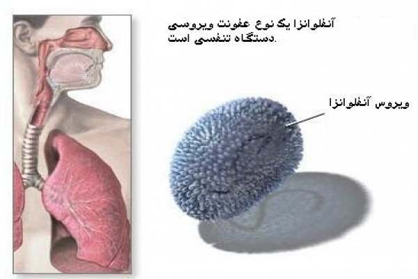 رعایت-دستورالعملهای-بهداشتی-تنها-راه-مقابله-با-آنفلوآنزا-است