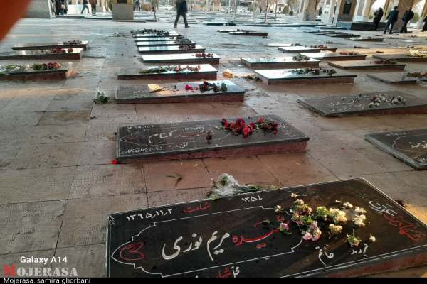 آئین-ویژه-مهمانی-لالهها-در-زنجان-برگزار-شد-