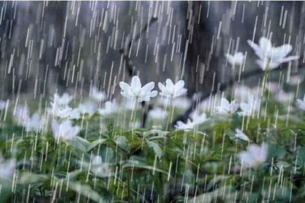 بارش-باران-در-آخرین-روزهای-سال،-زنجان-را-در-بر-می‌گیرد-