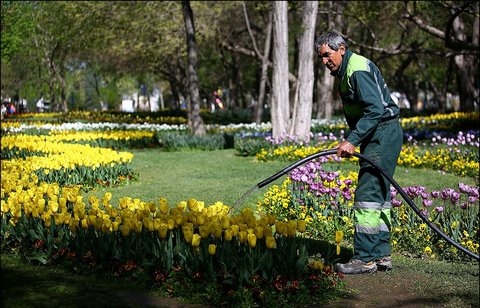 راه-اندازی-شبکه-آب-خام-شهری-برای-آبیاری-فضای-سبز-شهری-در-ابهر