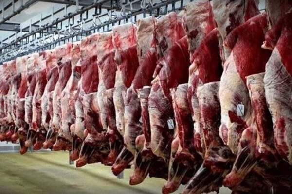 ۲۱-لاشه-دام-قربانی-در-روز-عاشورا-و-تاسوعا-از-چرخه-مصرف-حذف-شد